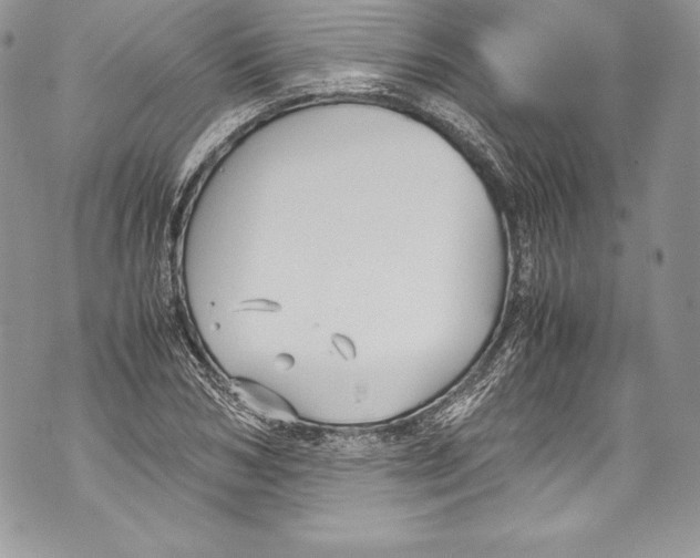 X0000071860978200607290153