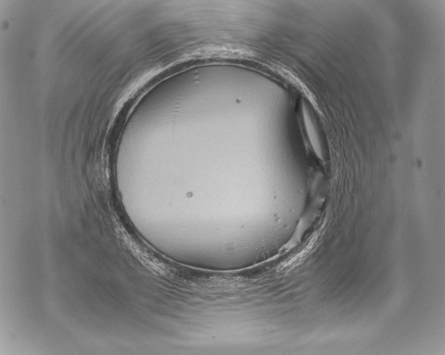 X0000071860981200607290153