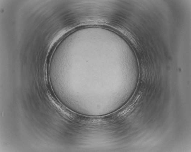 X0000071860982200607290153