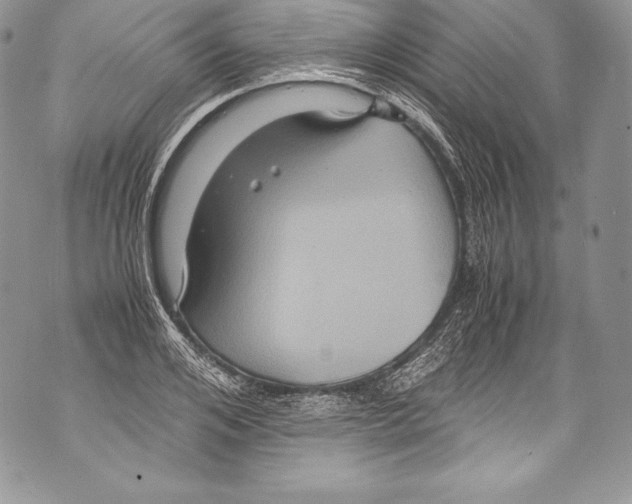 X0000071860984200607290153