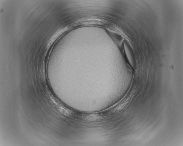 X0000071860986200607290153