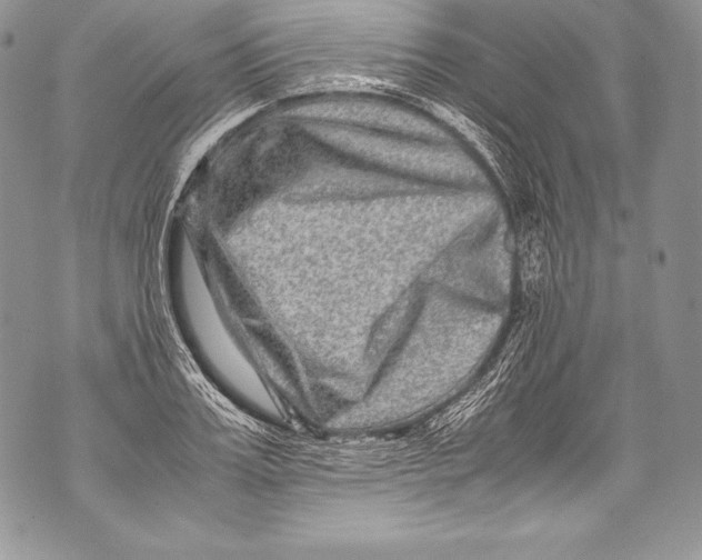 X0000071860987200607290153