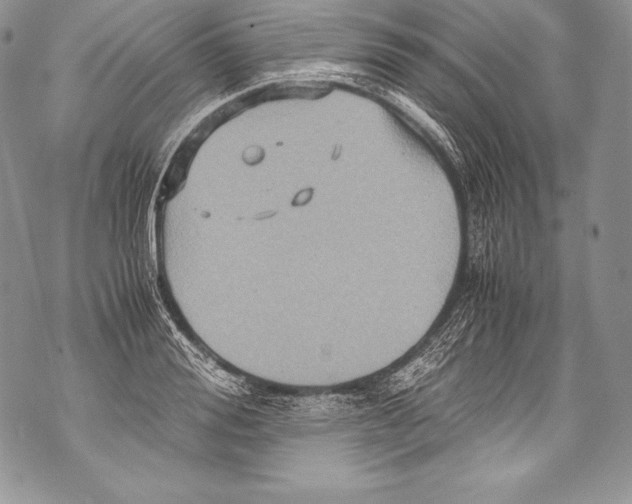 X0000071860988200607290153