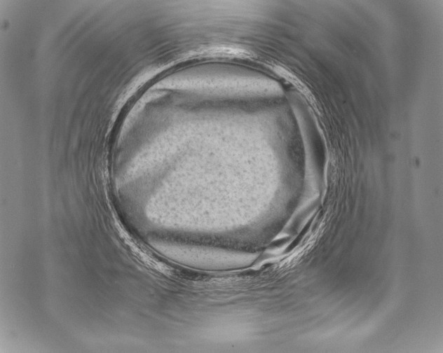 X0000071860989200607290153