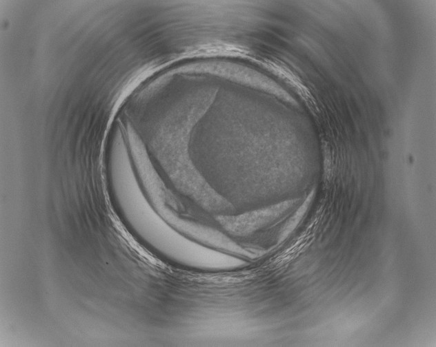 X0000071860990200607290153