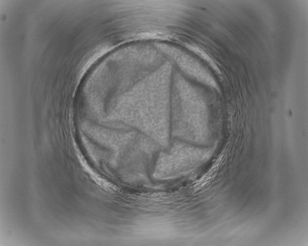 X0000071860991200607290153