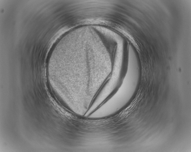 X0000071860992200607290153