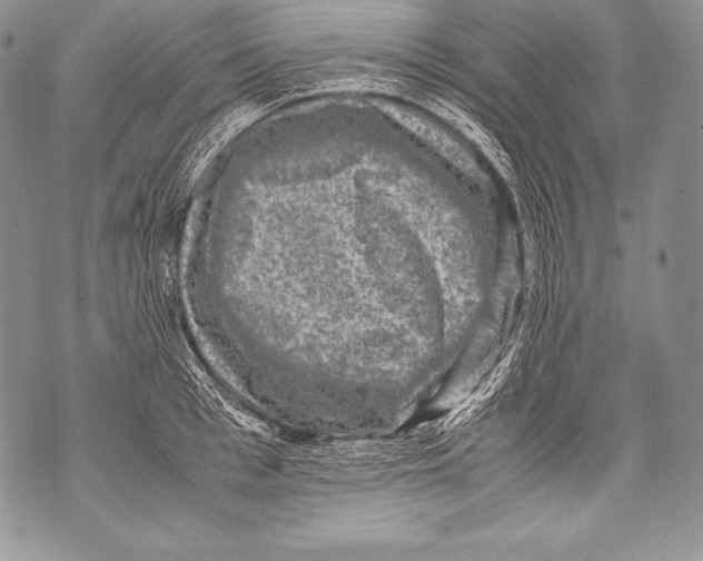 X0000071860993200607290153