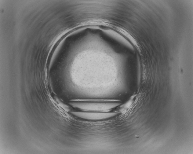 X0000071860996200607290153