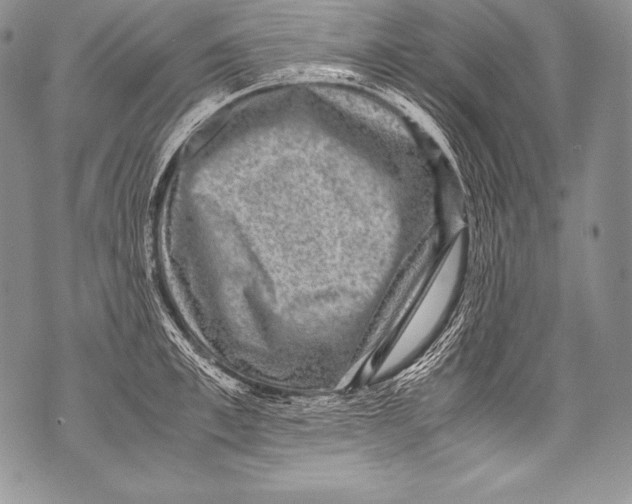 X0000071860997200607290153