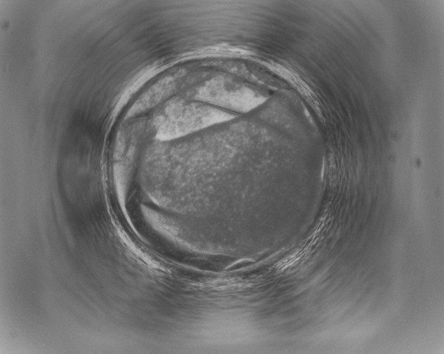 X0000071860998200607290153