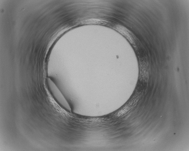 X0000071861000200607290153