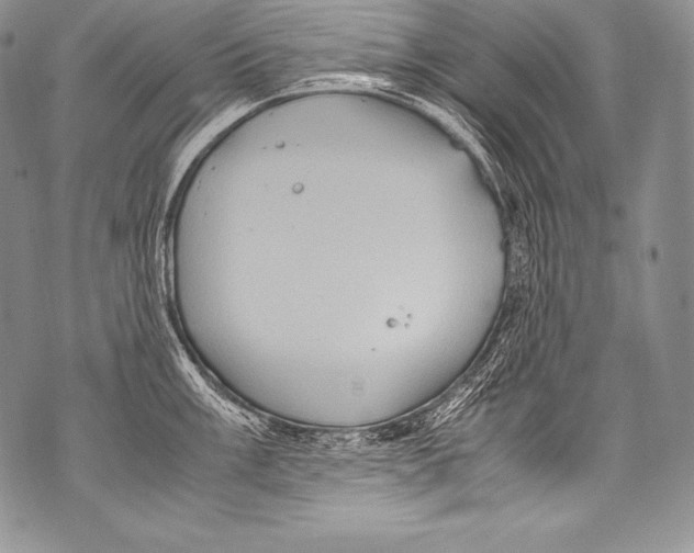 X0000071861003200607290152