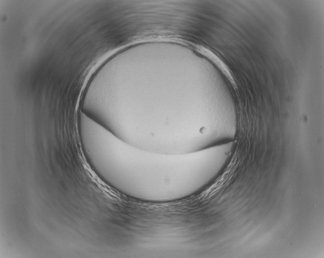 X0000071861004200607290152