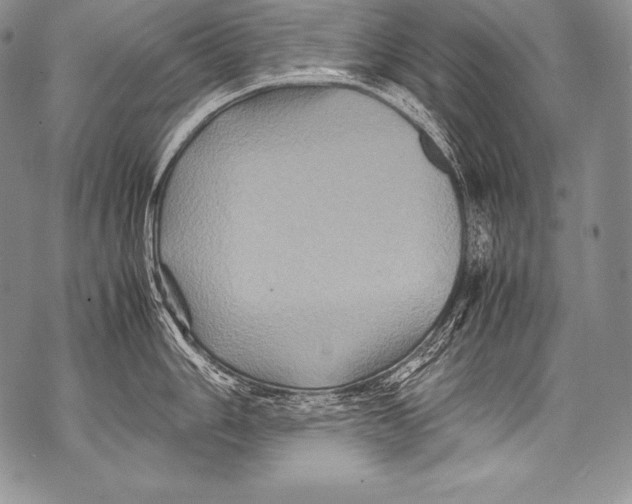 X0000071861006200607290152