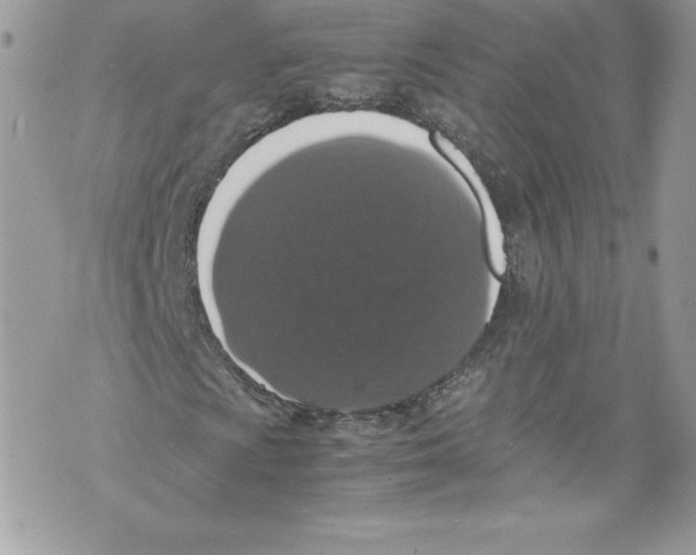 X0000071861009200607290152