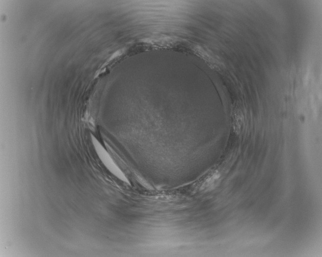 X0000071861010200607290152