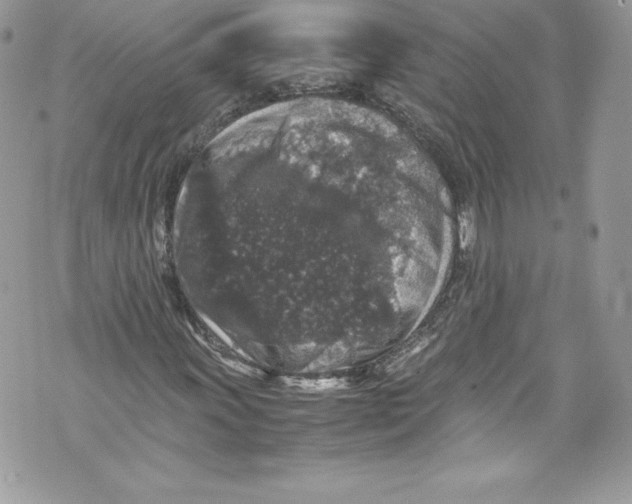 X0000071861011200607290152