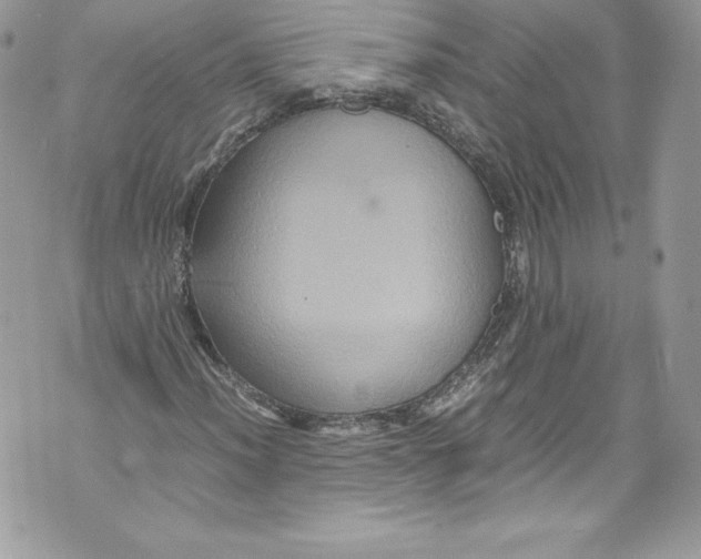 X0000071861012200607290152