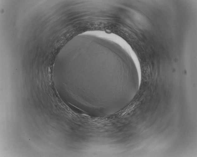 X0000071861013200607290152