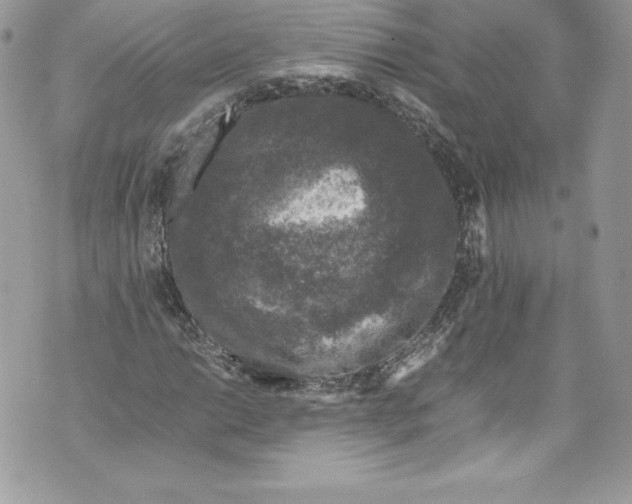 X0000071861014200607290152