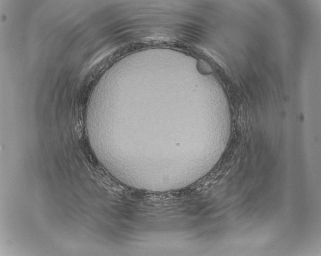 X0000071861015200607290152