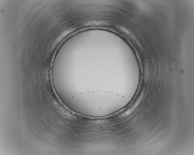 X0000071861017200607290152