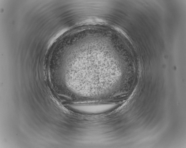 X0000071861018200607290152