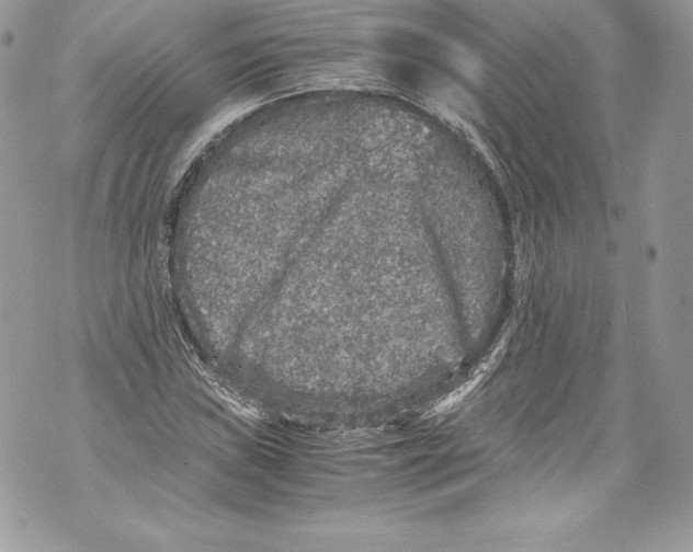 X0000071861019200607290152