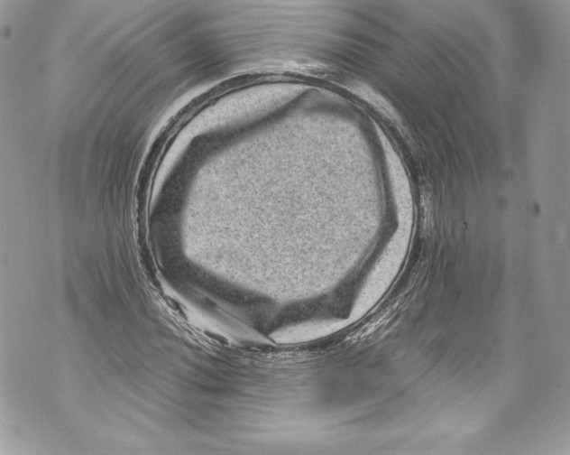 X0000071861020200607290152