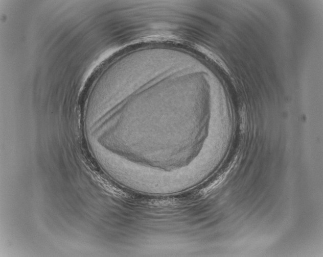 X0000071861021200607290152