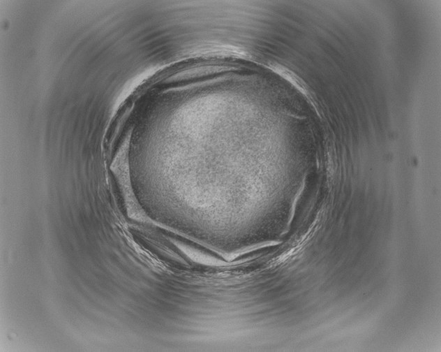 X0000071861022200607290152