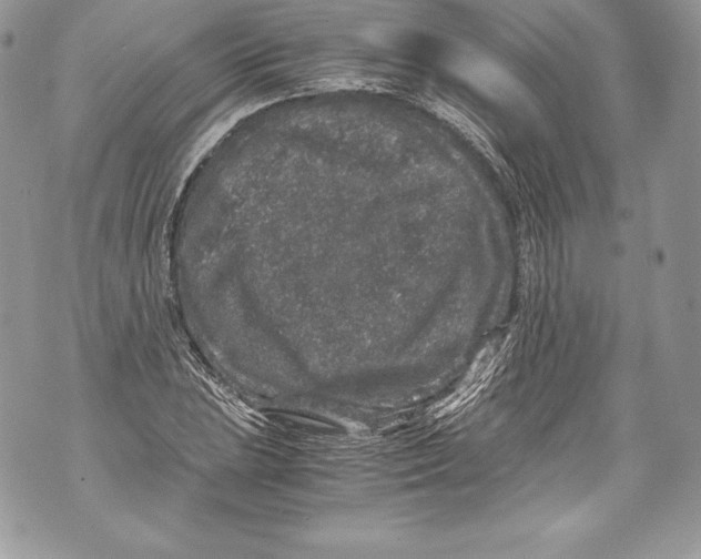 X0000071861023200607290152