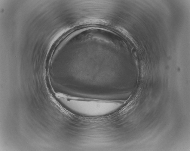 X0000071861024200607290152