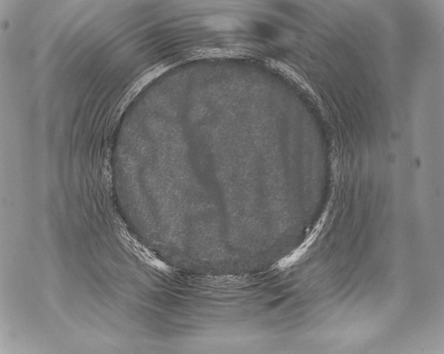 X0000071861025200607290152