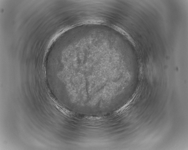 X0000071861027200607290152