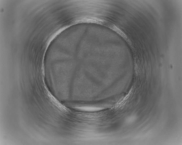 X0000071861028200607290152