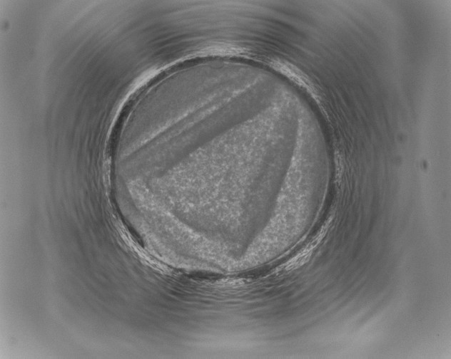 X0000071861029200607290152