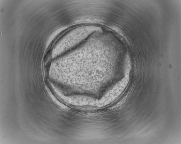 X0000071861030200607290152