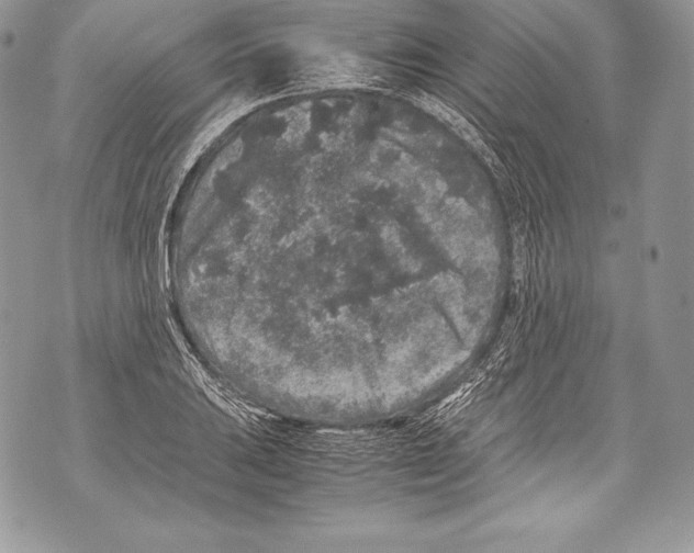 X0000071861031200607290152