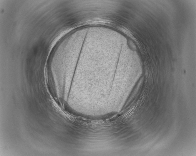 X0000071861032200607290152