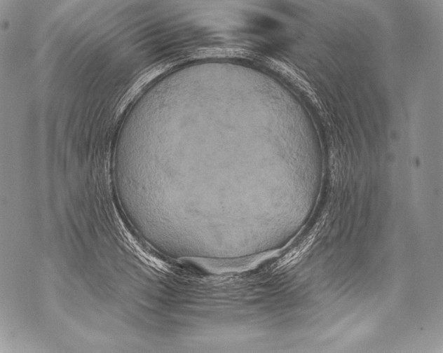 X0000071861033200607290152