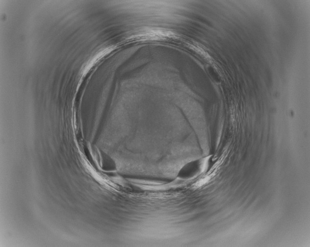 X0000071861034200607290152