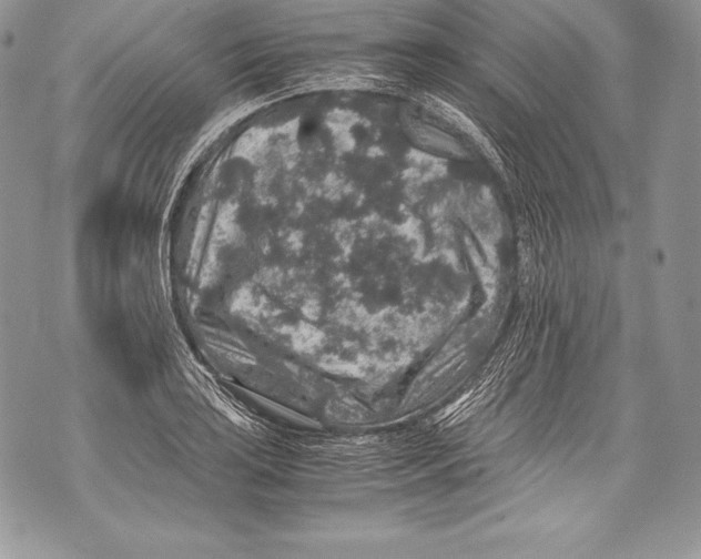 X0000071861035200607290152