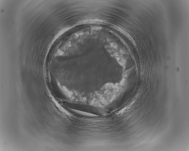 X0000071861037200607290152