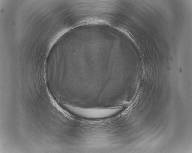 X0000071861038200607290152