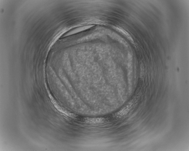 X0000071861039200607290152