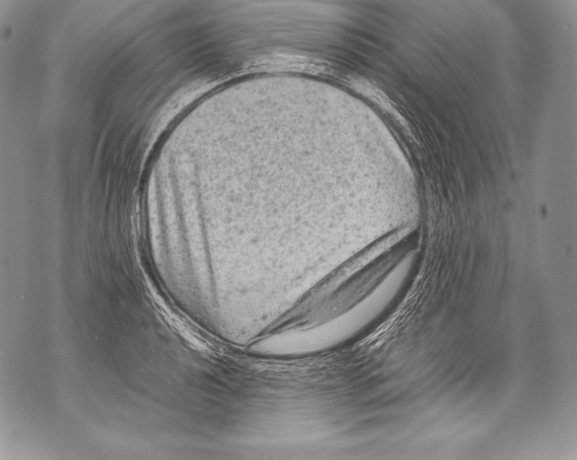 X0000071861040200607290152