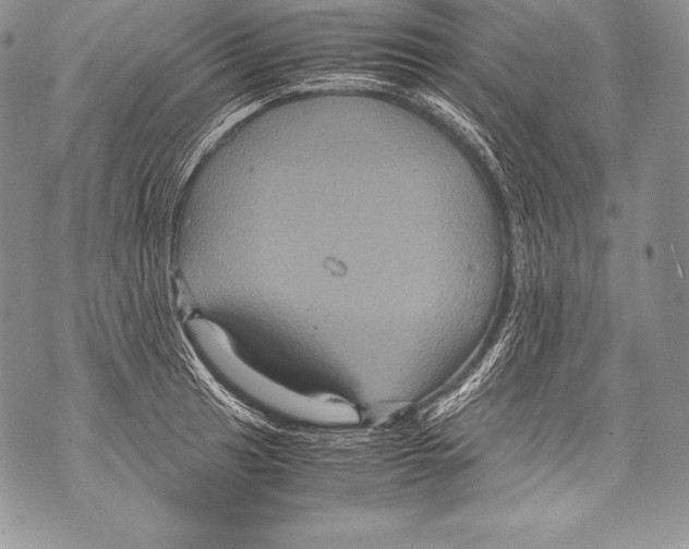 X0000071861041200607290152