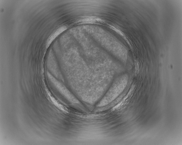 X0000071861042200607290152